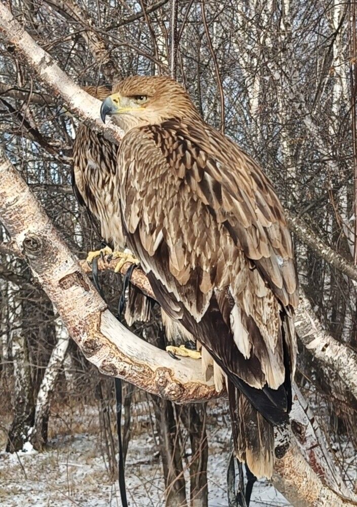 Photograph by Елена Александрова