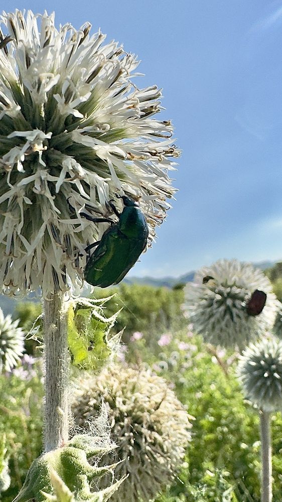 Photograph by Ольга Бибекина