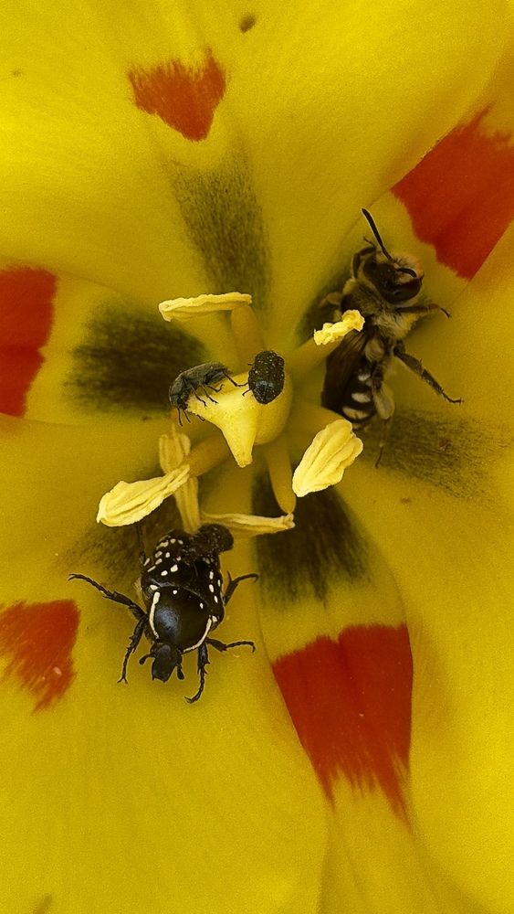 Photograph by Ольга Бибекина