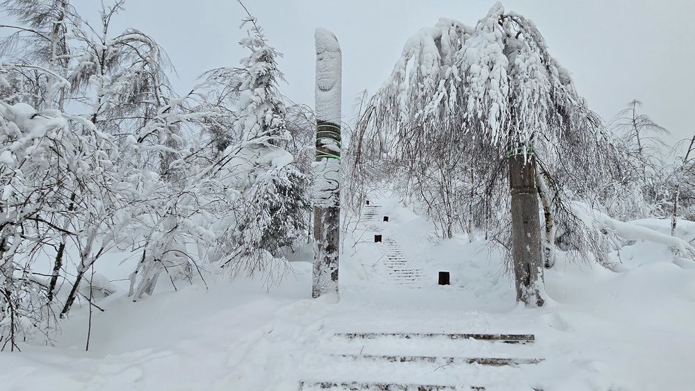Фотография автора Максим Фролов