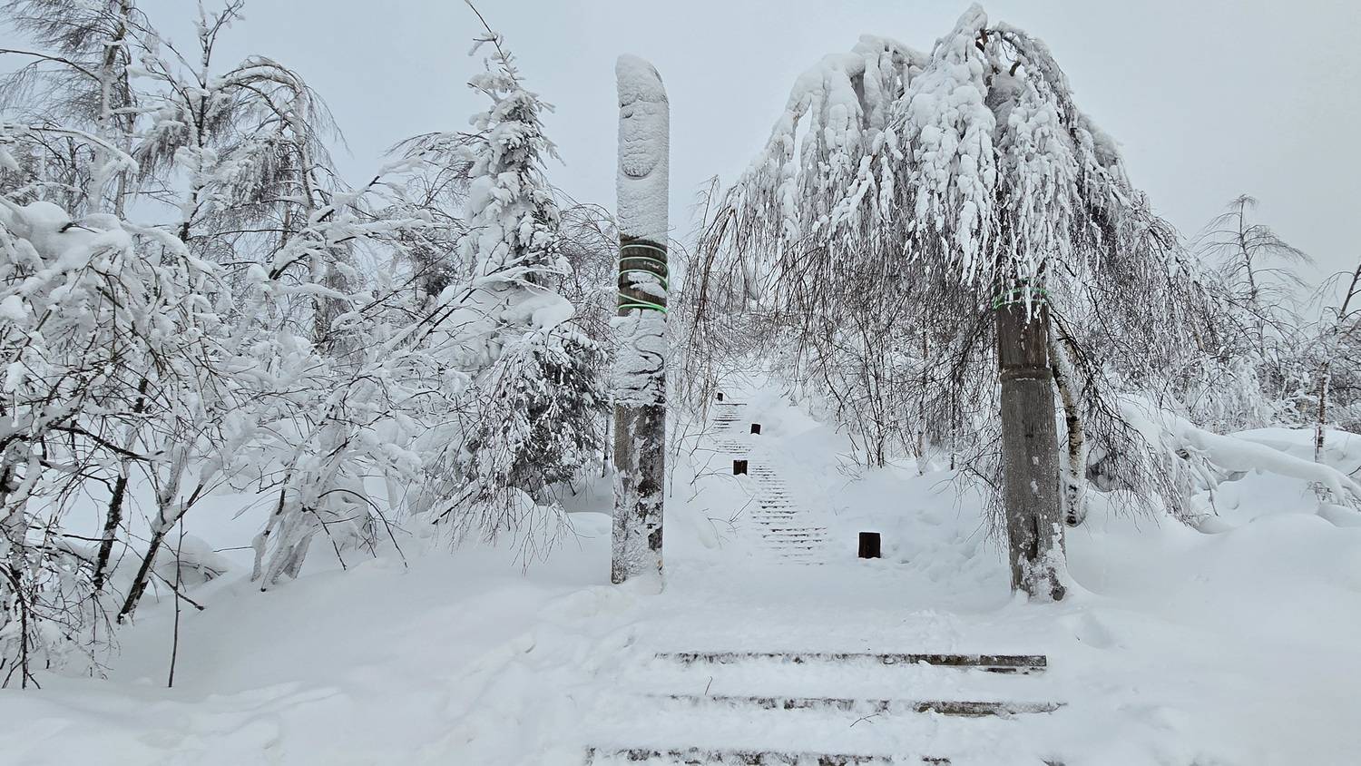 Фотография #13189263