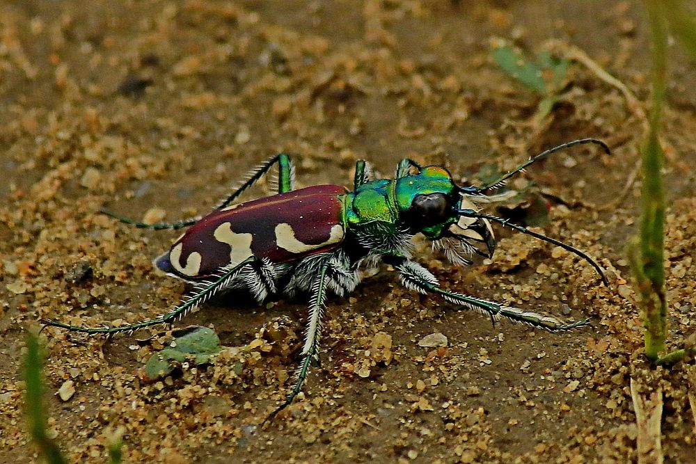 Photograph by Александр Велигура
