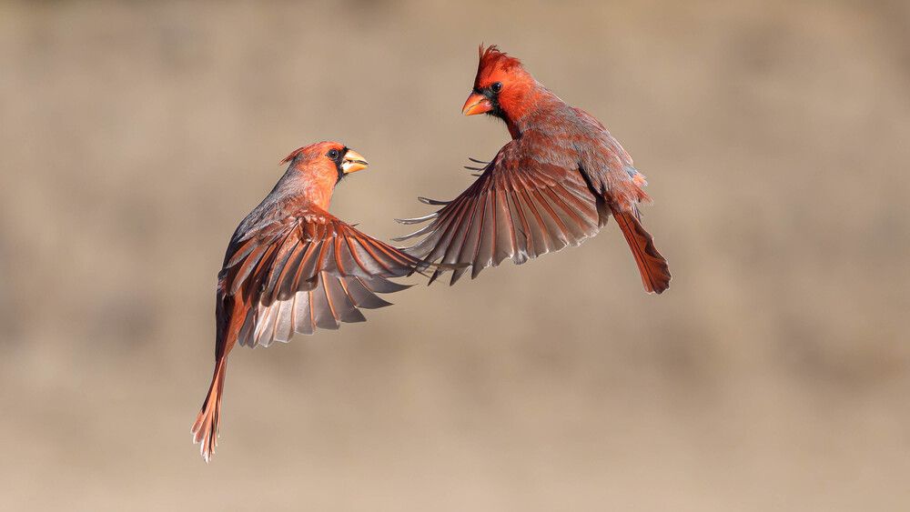 Photograph by Angie Birmingham