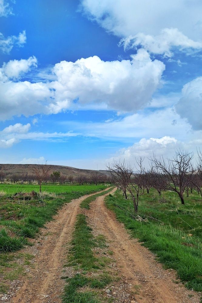 Photograph by Zahra akbari
