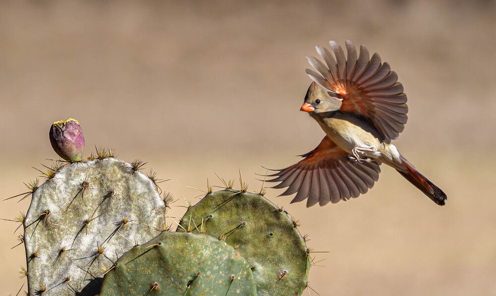 Photograph by Angie Birmingham