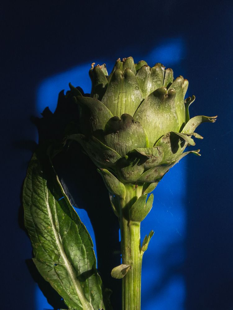 Фотография автора Alexandra Sergeeva