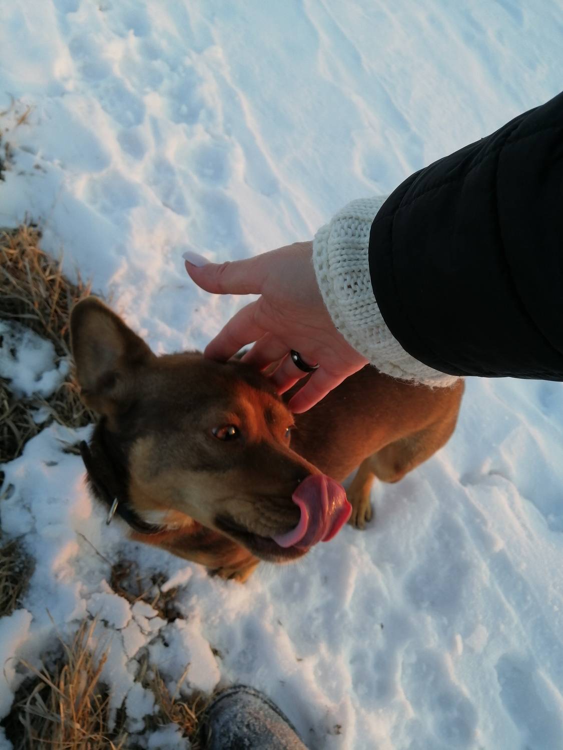Photo #13189325