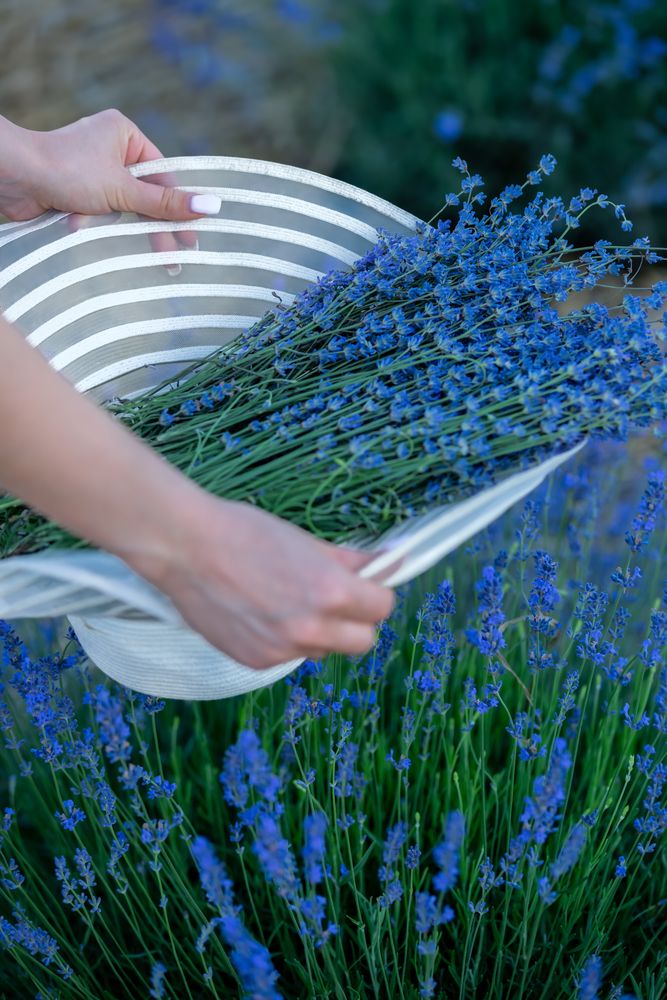 Photograph by Олександр Дмитрук