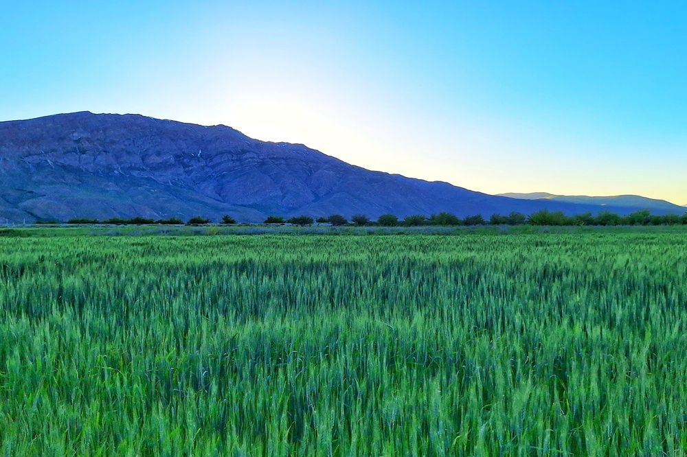 Photograph by Zahra akbari