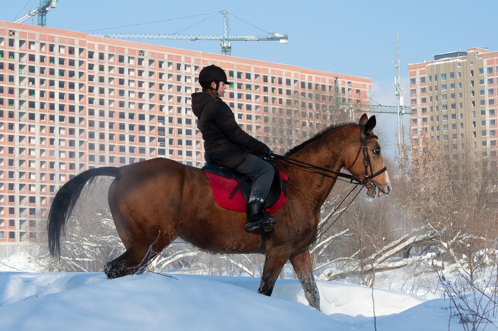 Photograph by Елена Фурашова