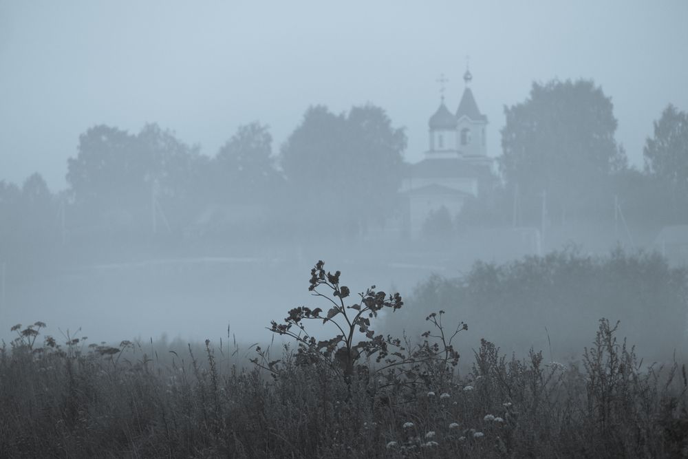 Photograph by Alexandr