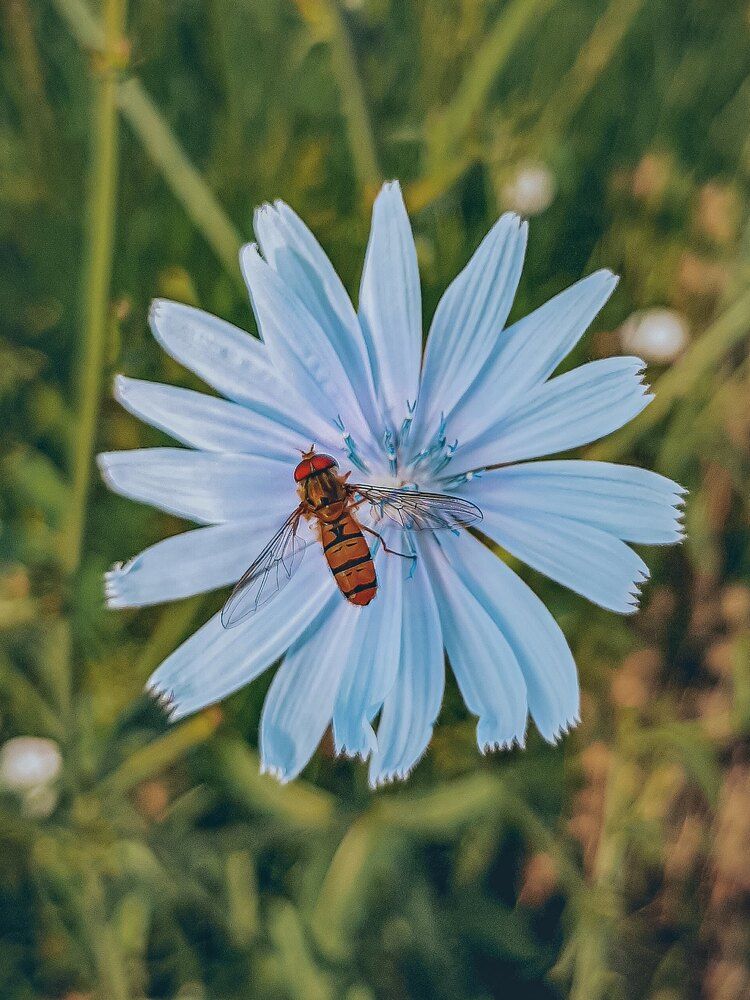 Фотография автора Даниил Барченко