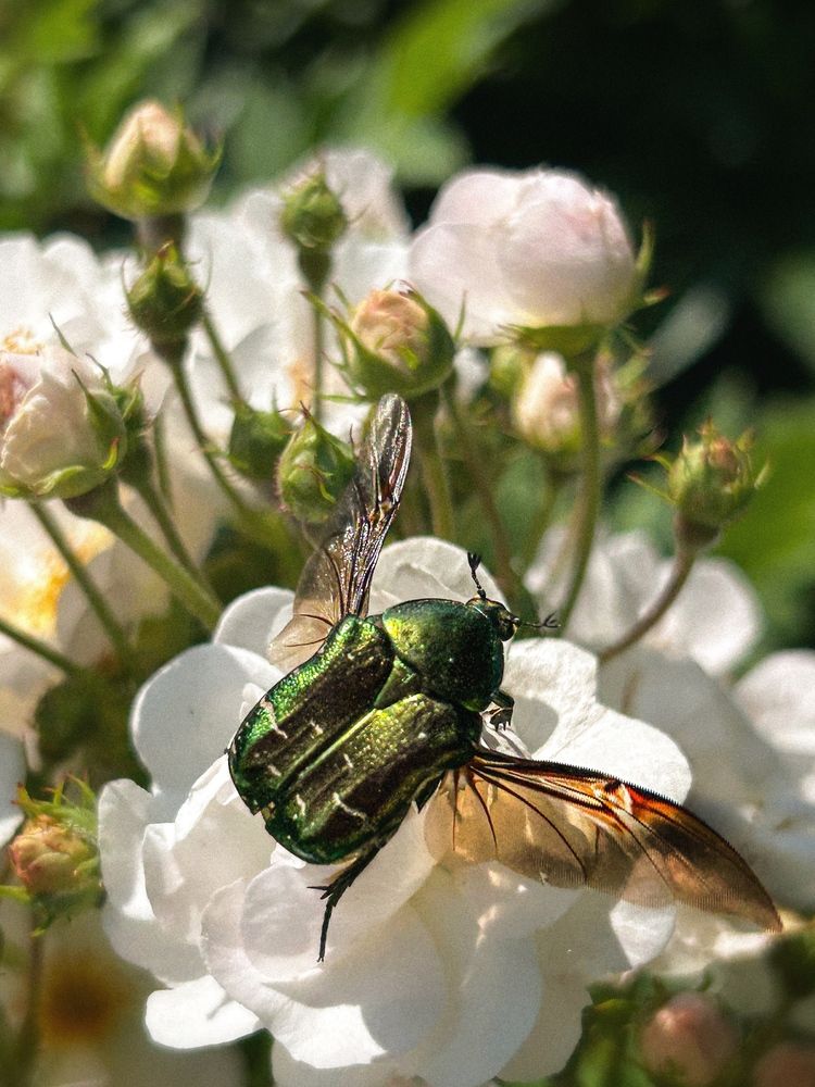Photograph by Аруза