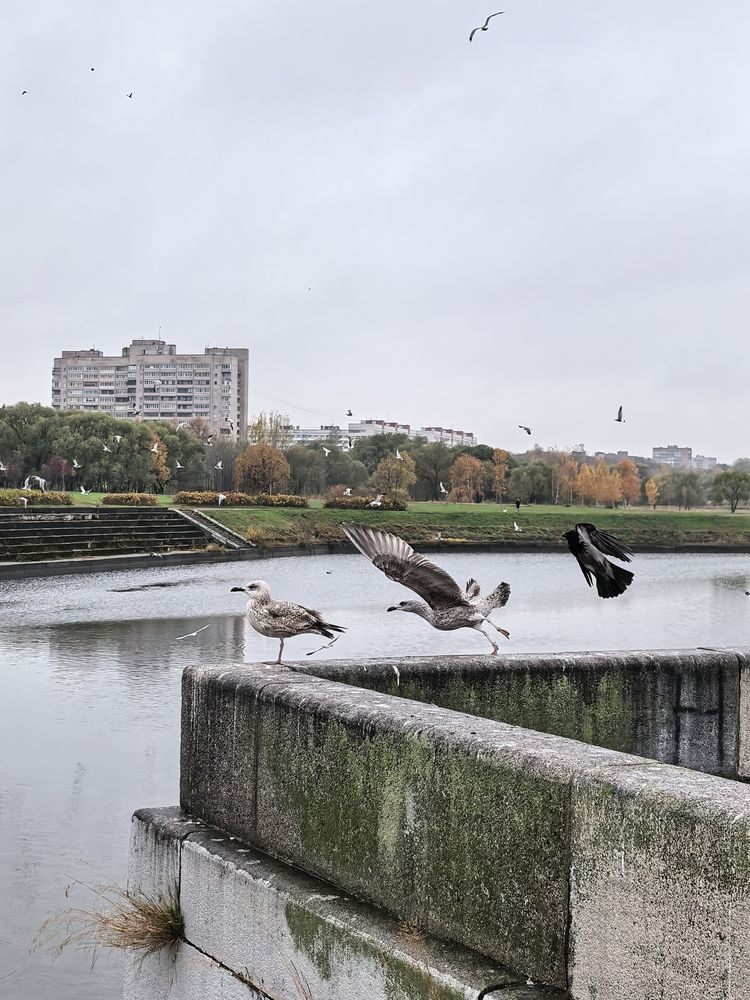 Взлёт