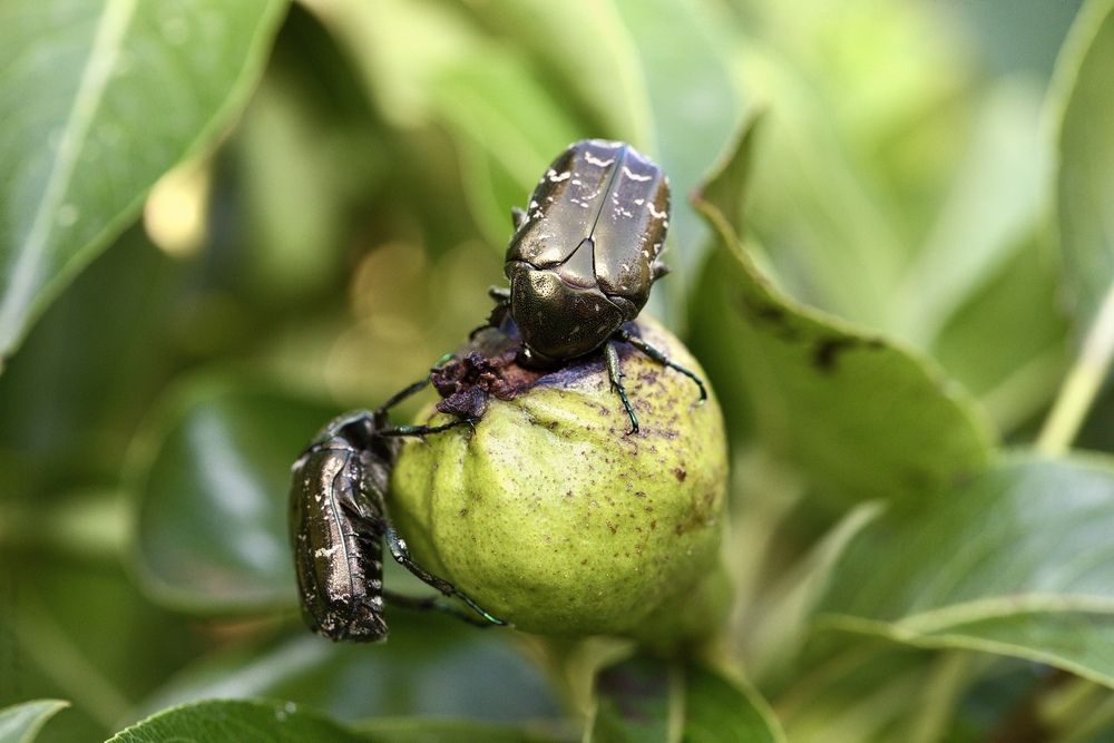 Мне оставь.