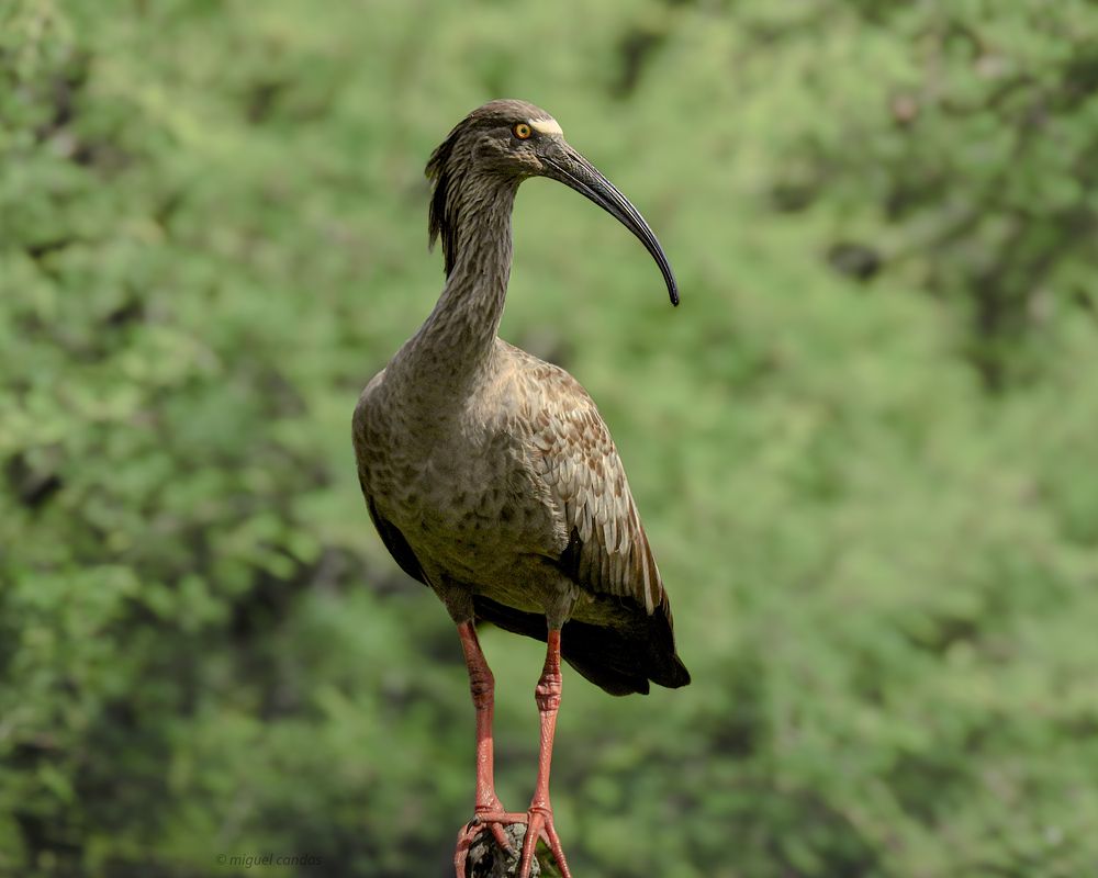 Entre Ríos el paraíso