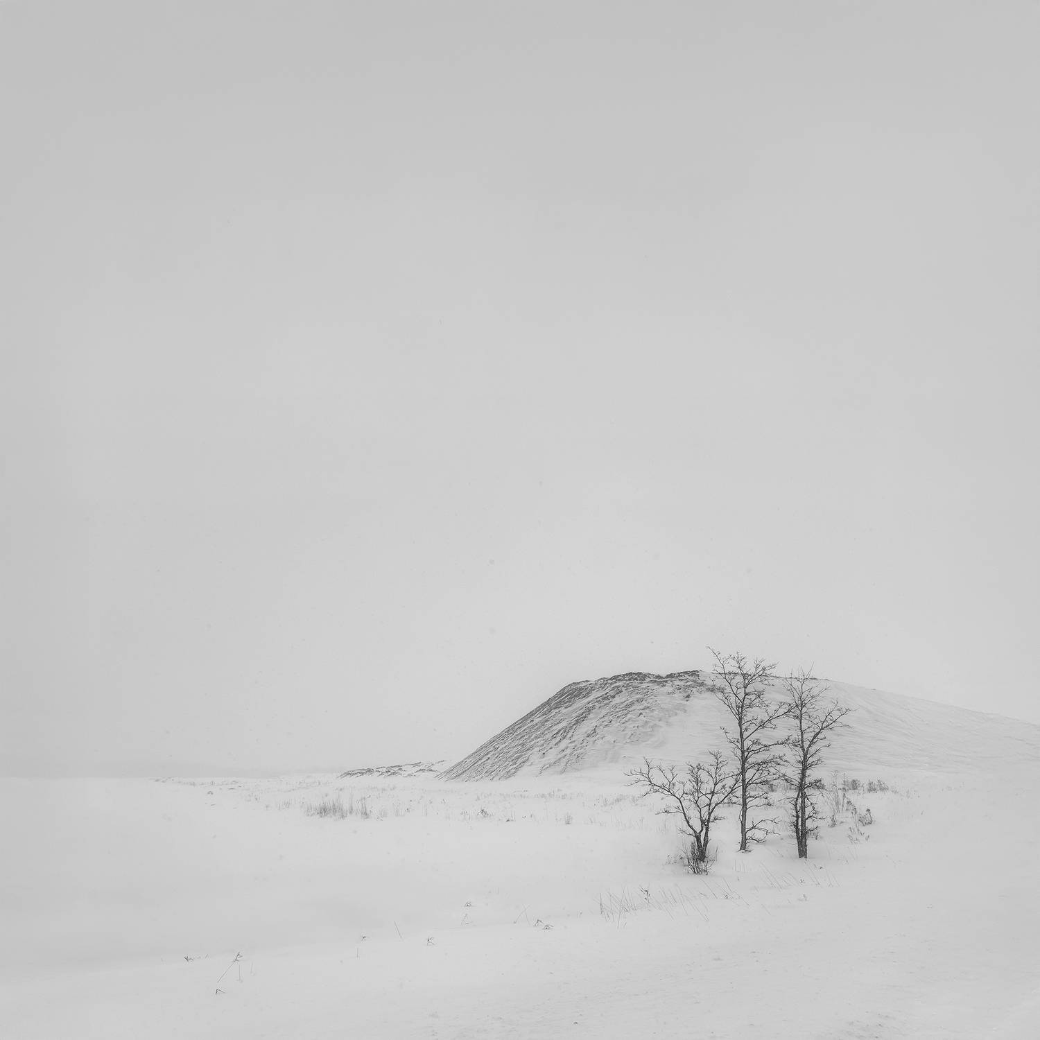 Photo #13189487