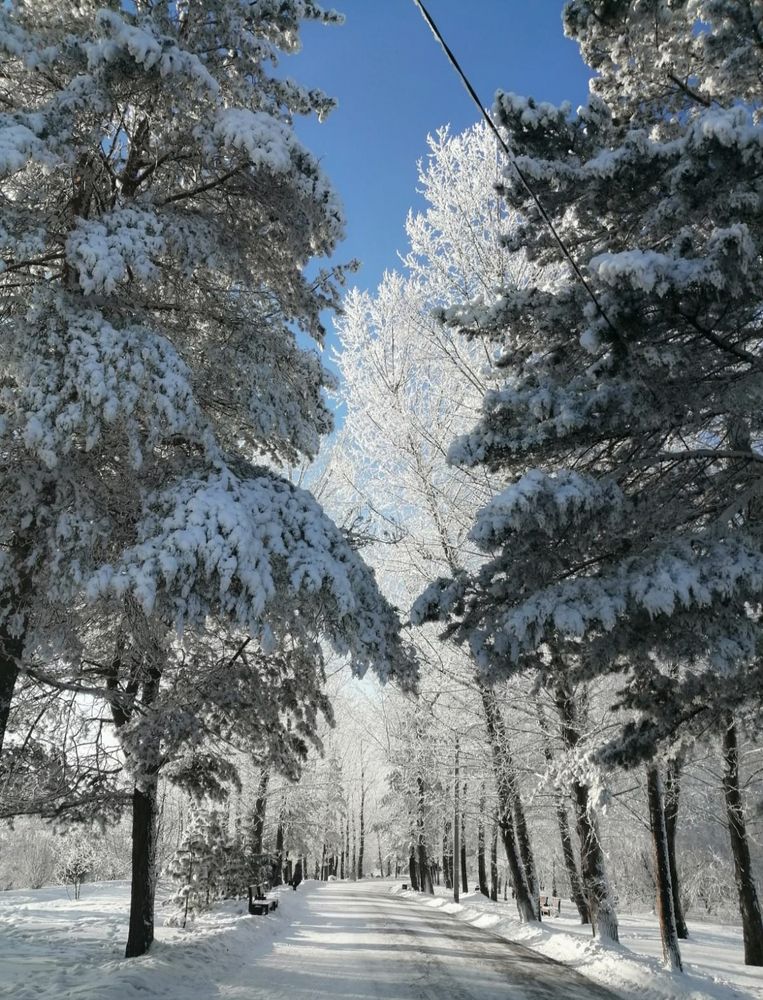 Фотография автора Любовь Чечешкина