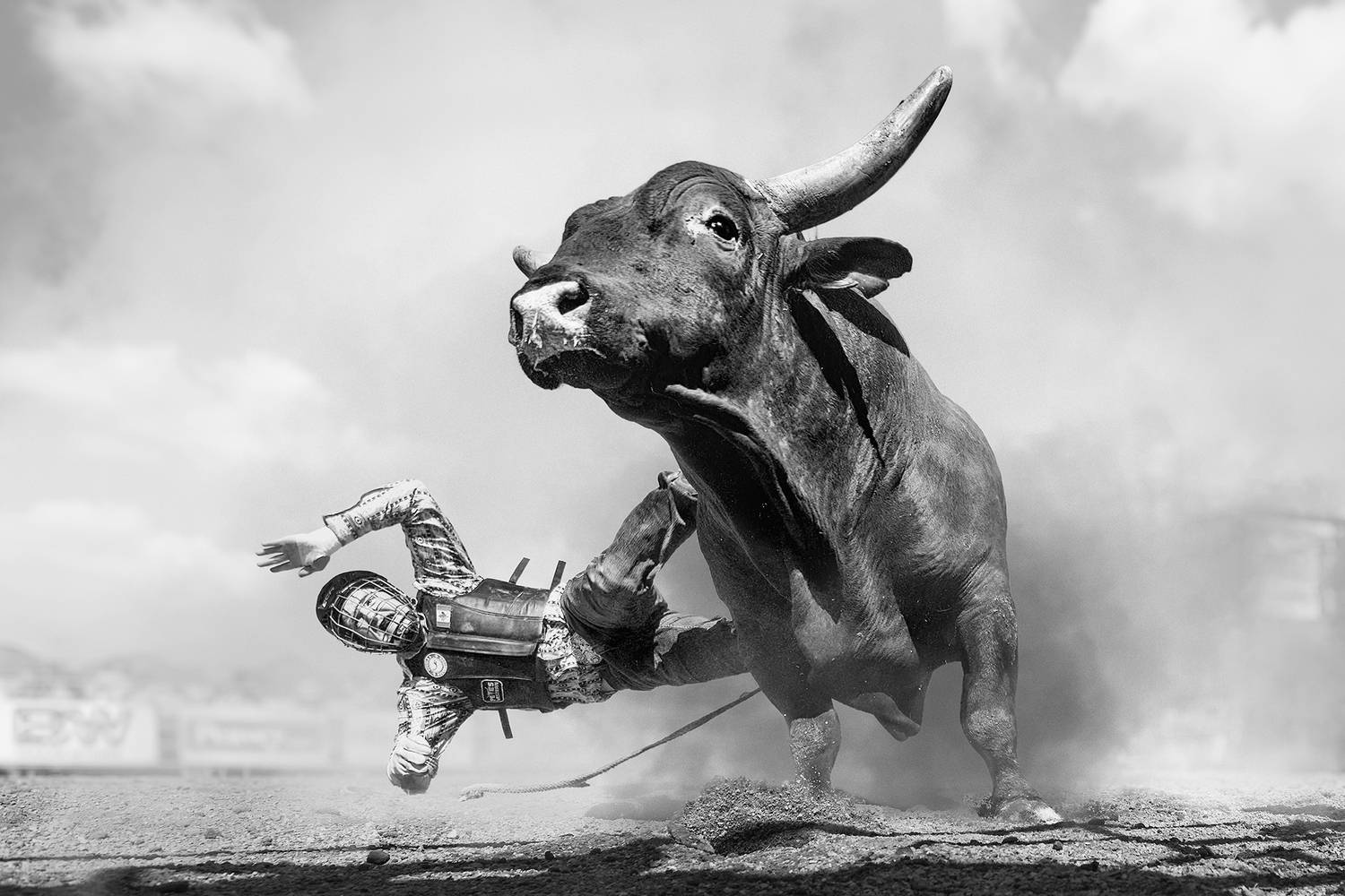 Bull\'s Fury, Rider\'s Strife