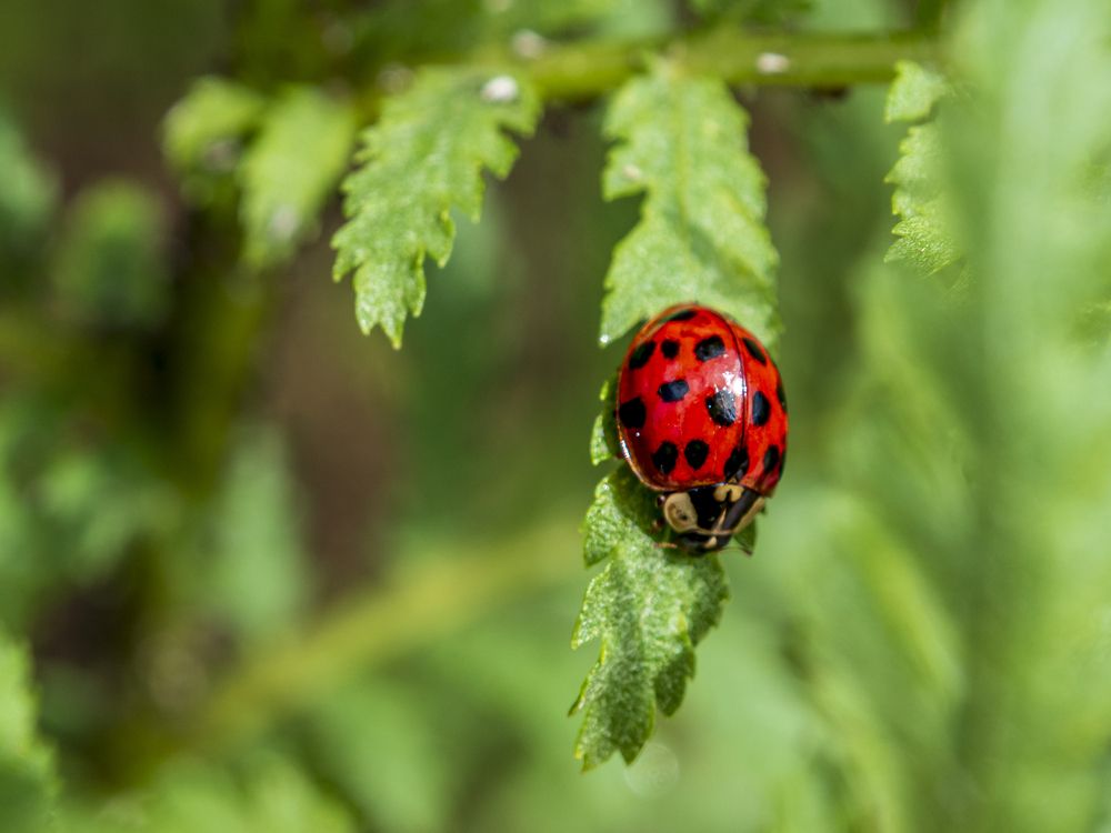 Photograph by Надежда Михайлина