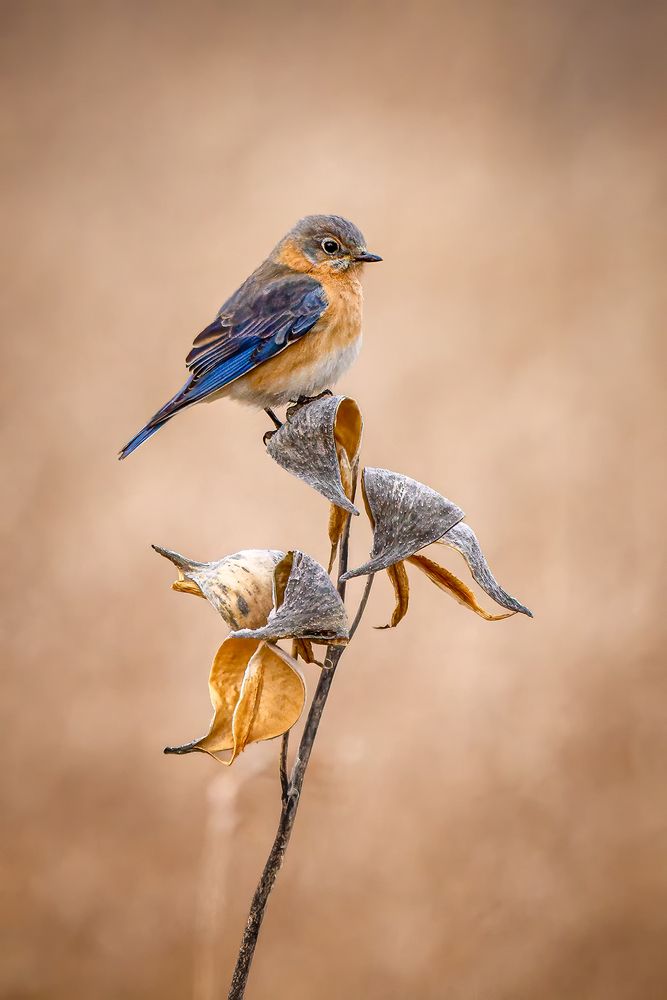 Photograph by Zhenhuan Zhou