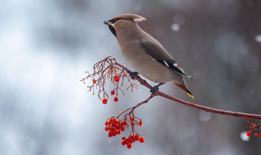 Photograph by Толян Бууулочкин