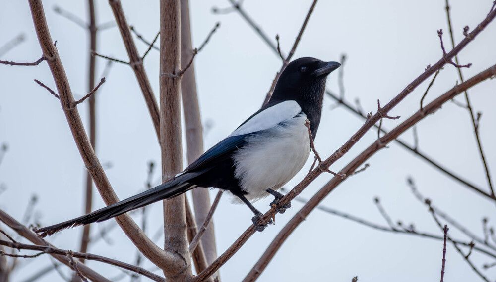 Photograph by Толян Бууулочкин