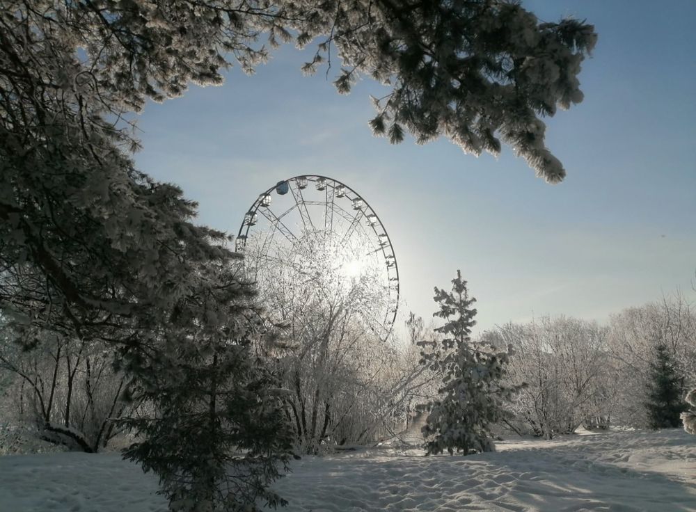 Фотография автора Любовь Чечешкина