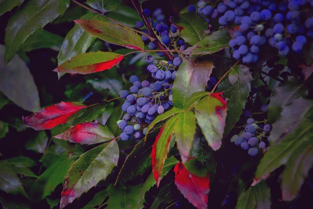 Photograph by АЛЛА ТАРАСЕНКО