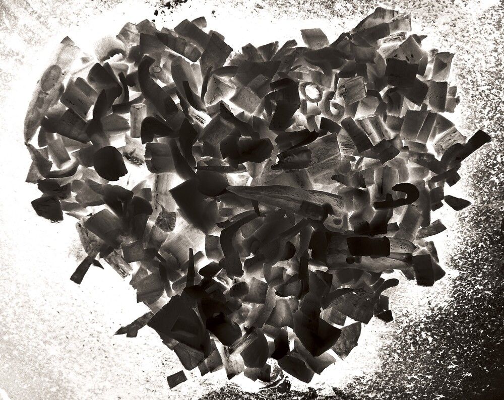 Photograph by Sruthy Kathula