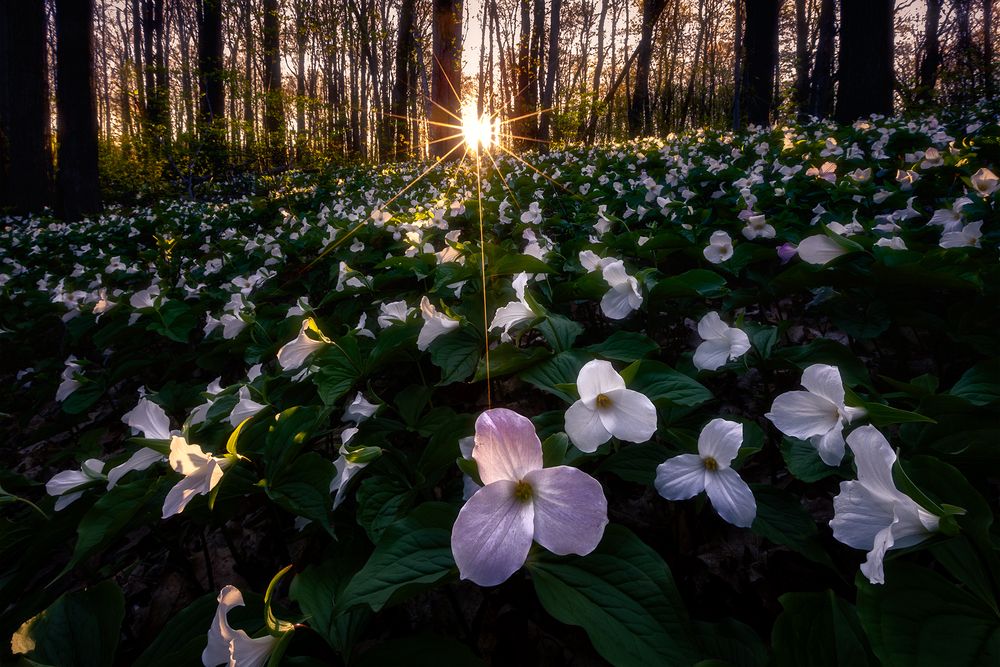 Photograph by Zhenhuan Zhou