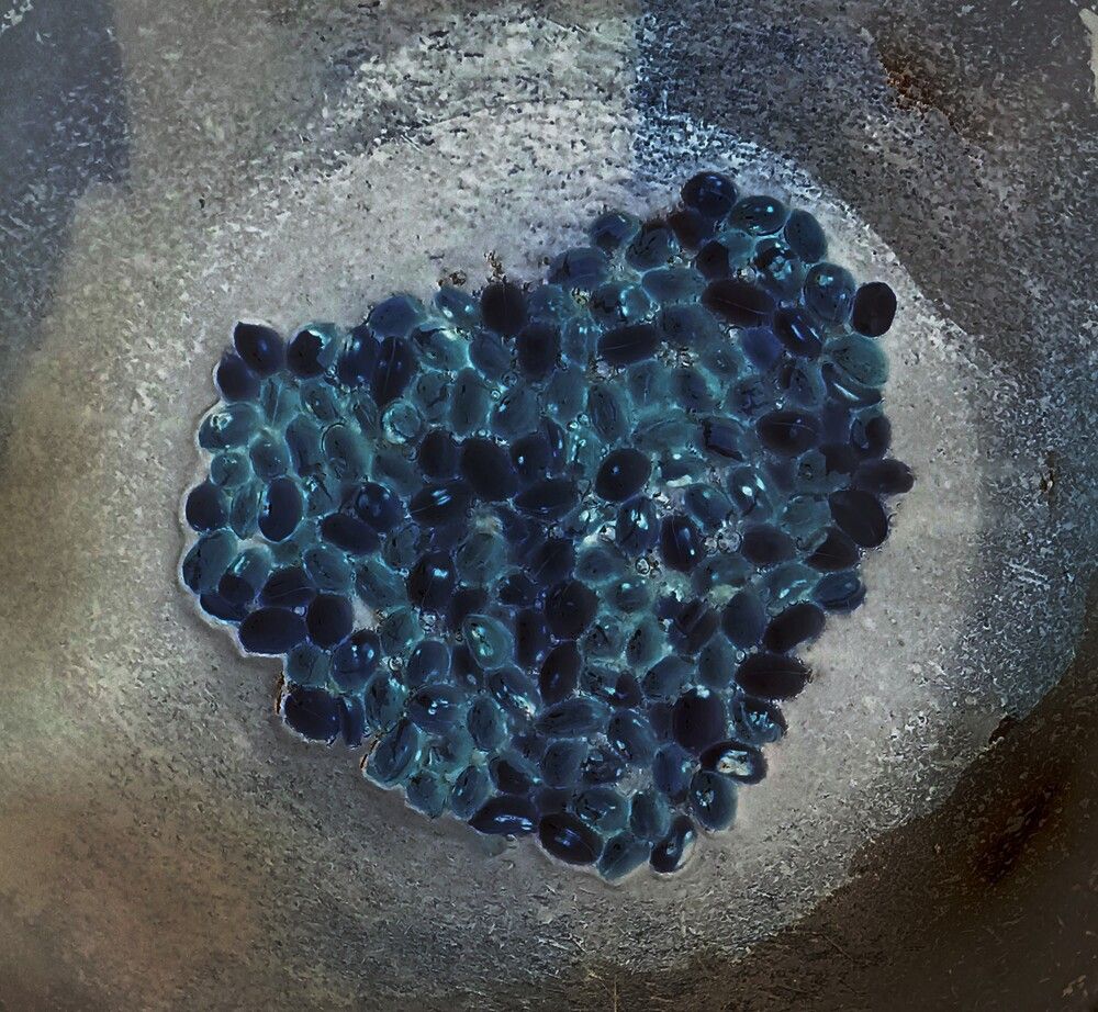 Photograph by Sruthy Kathula