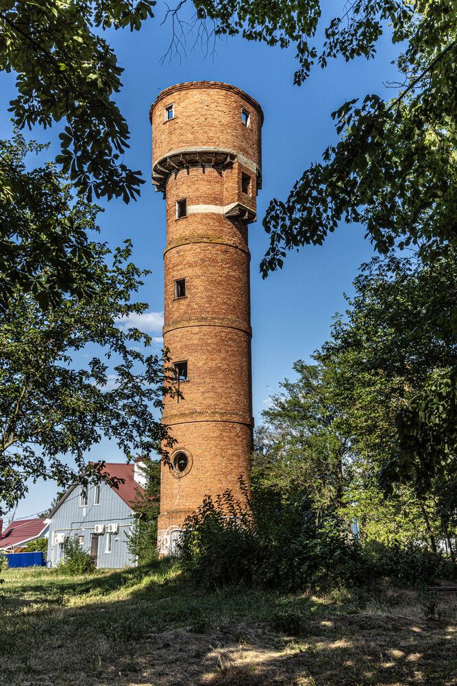 Фотография автора Елена Асташова