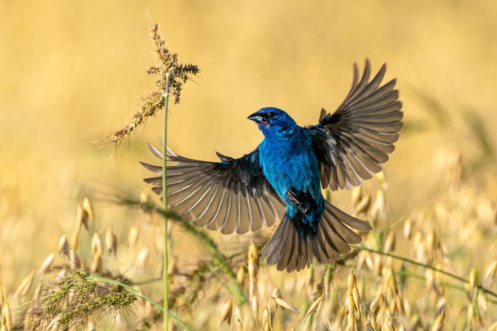 Photograph by Zhenhuan Zhou