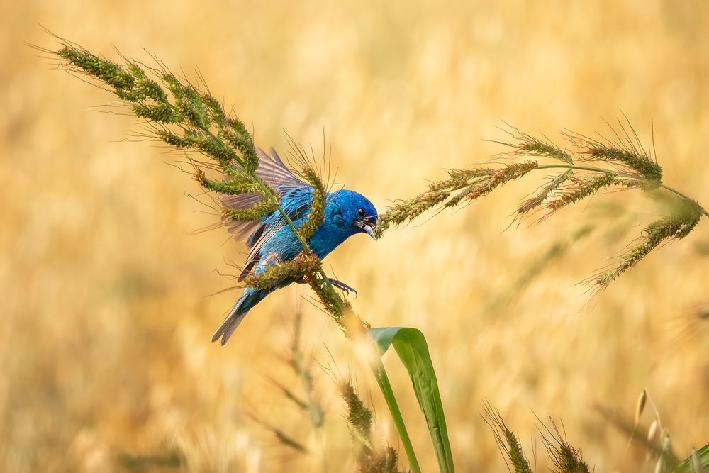 Photograph by Zhenhuan Zhou