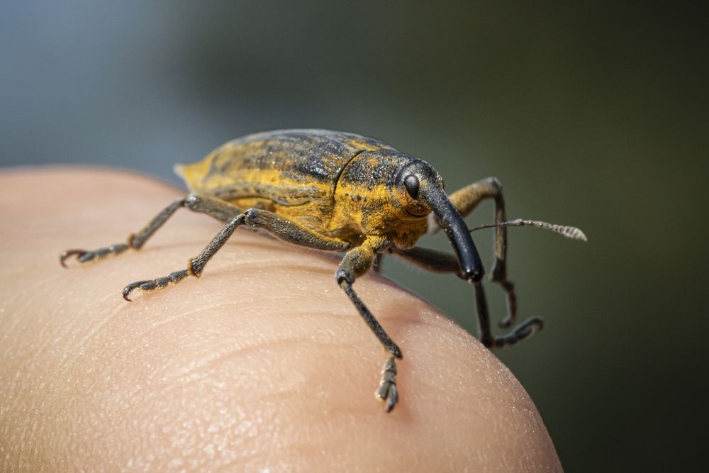 Photograph by Максим Мураков