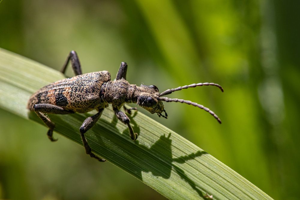 Photograph by Максим Мураков