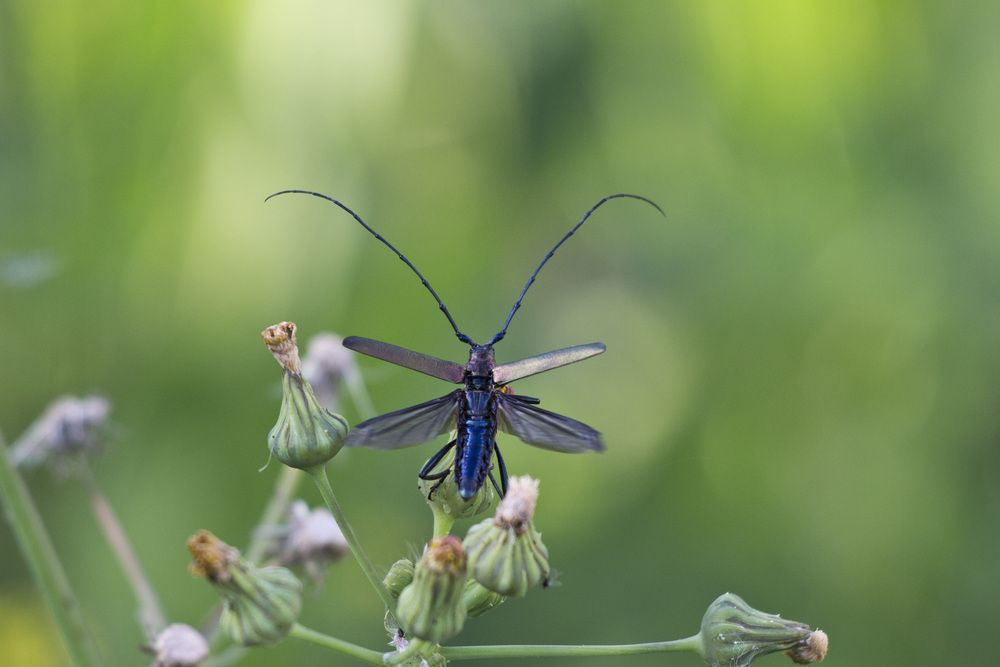 Photograph by Максим Мураков