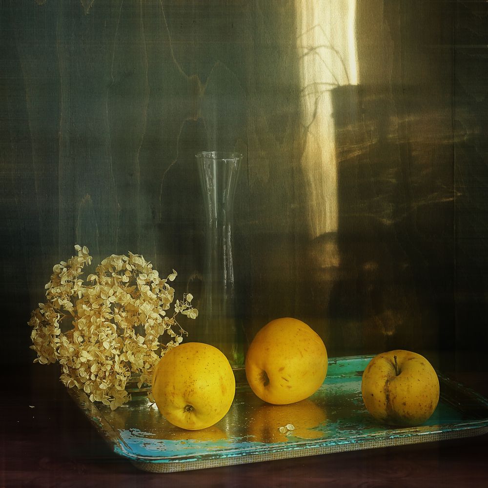 Photograph by ТАТЬЯНА ЗАХАРОВА