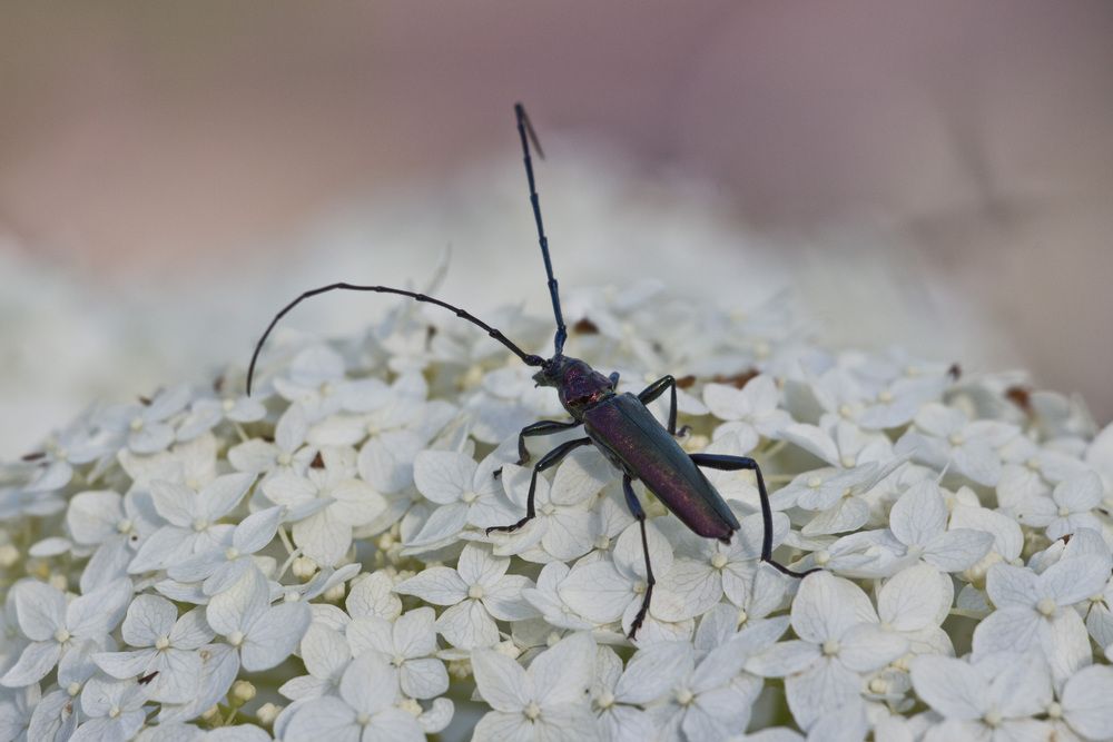 Photograph by Максим Мураков