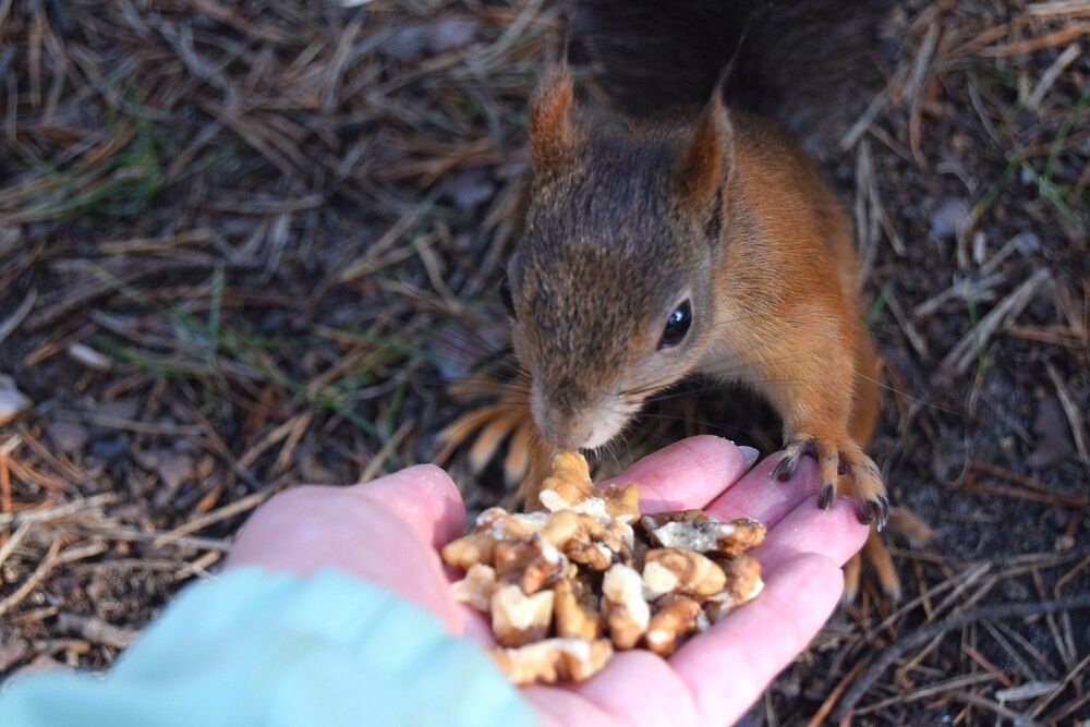 Photograph by Анастасия