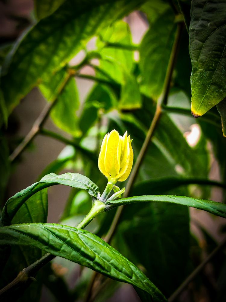 Photograph by Альбина Майкова