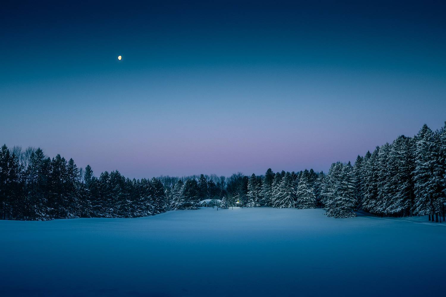 Фотография #13189751