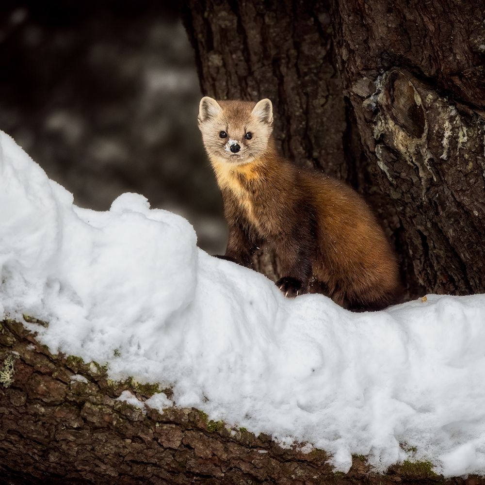 Photograph by Zhenhuan Zhou