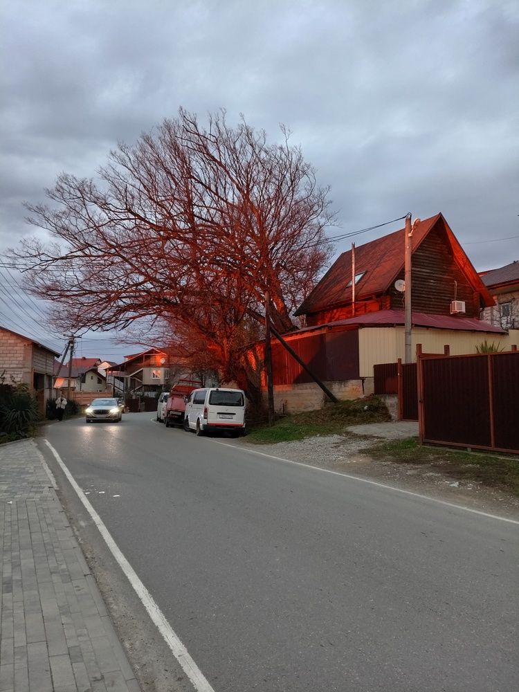 Photograph by Николай Немчанинов