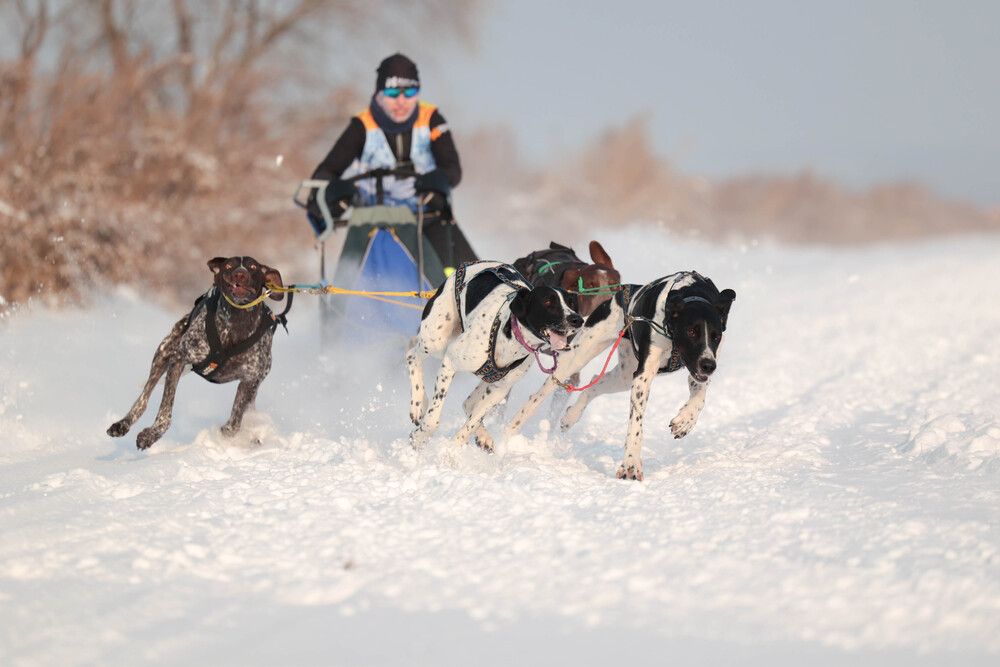 Photograph by Ольга Колобова