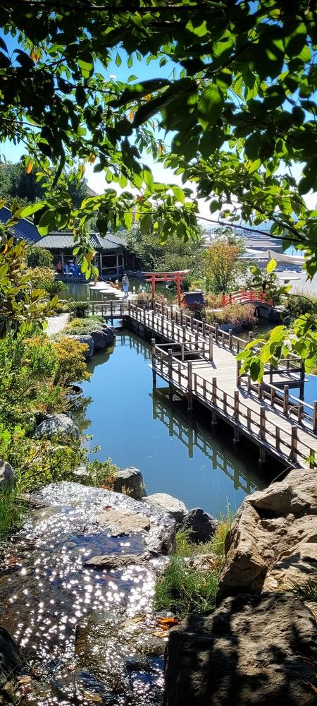 Photograph by Наталия Колесникова