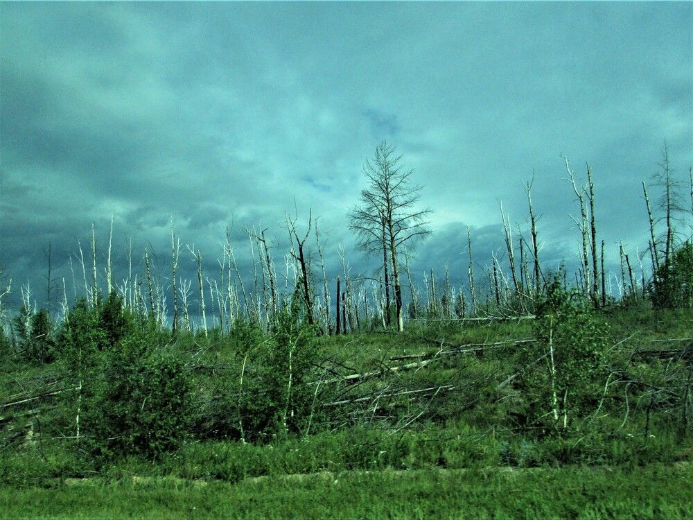 Photograph by Галина