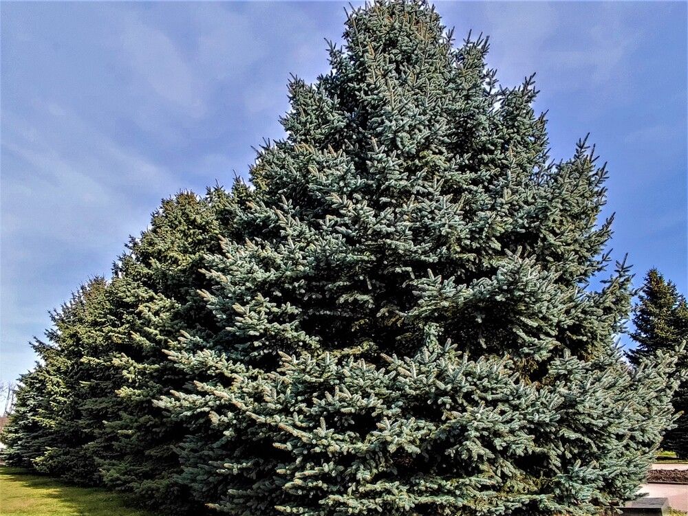 Photograph by Галина