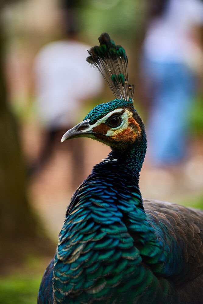 Photograph by Павел Золенко